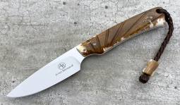 Marmoset in  Stabilized Warthog Tusk